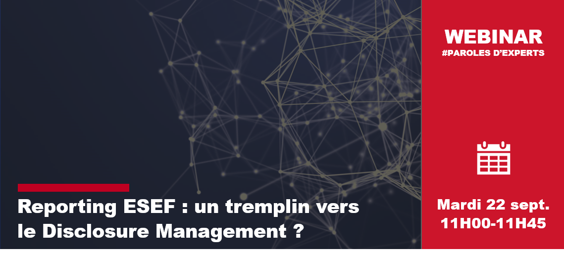 Webinar ESEF