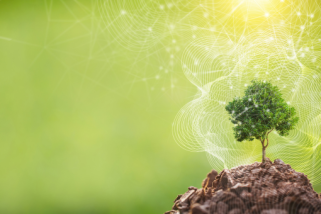 ESGeo - solution de reporting ESG et de conformité CSRD