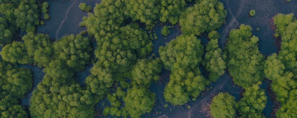 Solution intégrée pour le reporting ESG