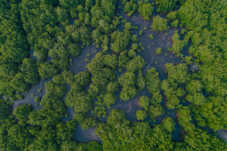 Solution intégrée pour le reporting ESG