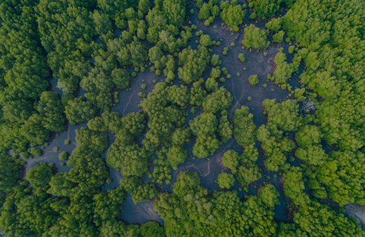 Solution intégrée pour le reporting ESG